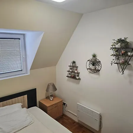 Car11 * コパオニク