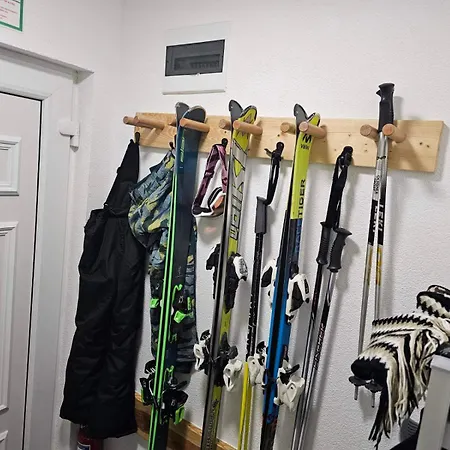 Car11 コパオニク